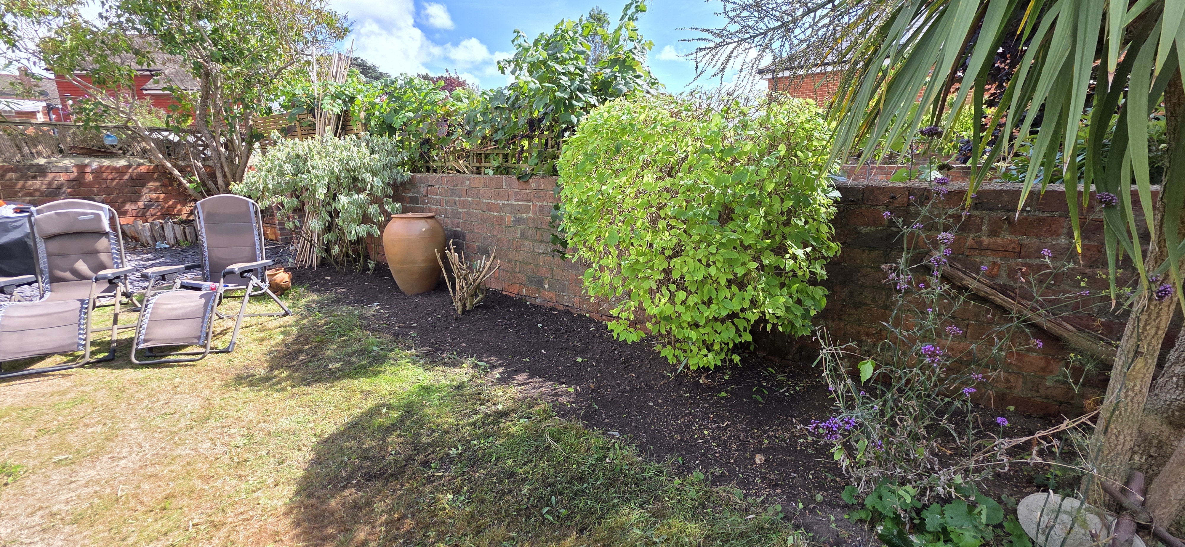 Garden tidy up