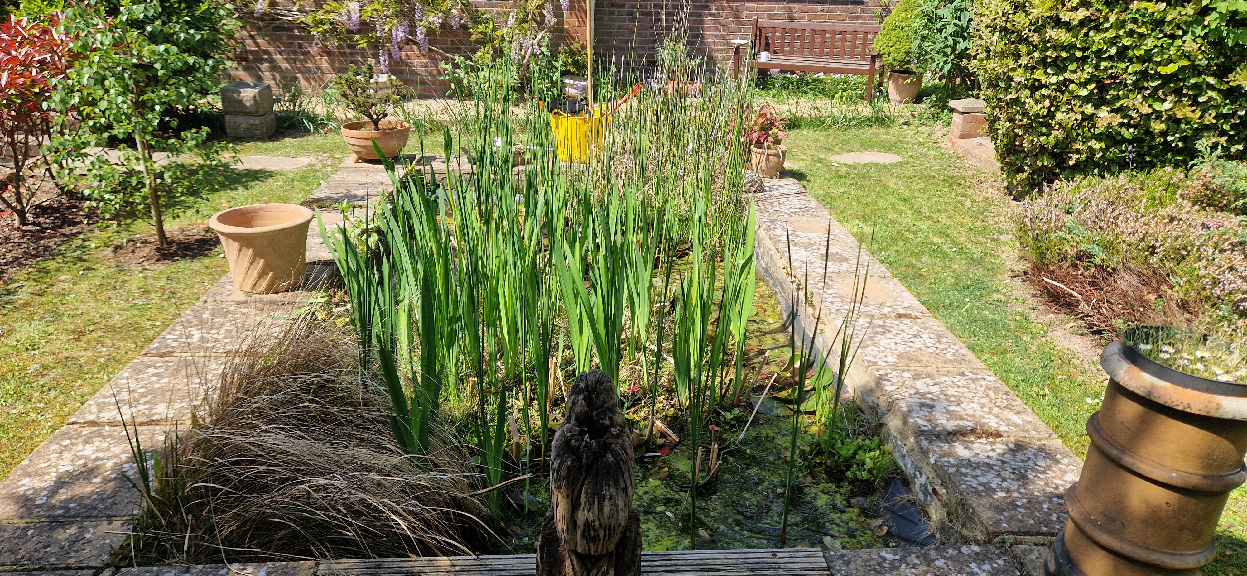 Beautiful garden pond and planting in West Sussex